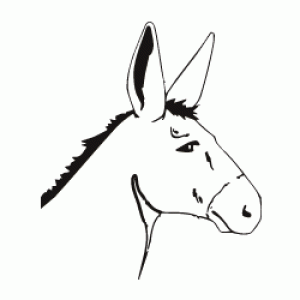 Donkey Image