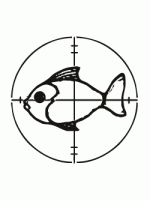 Fish Target Image