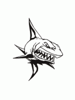 Shark Image