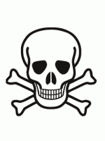 Skull and Bones Image